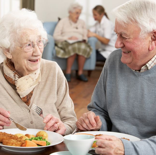 Repas à domicile pour les seniors en Wallonie faciles à commander savoureux et abordables